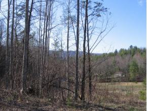 0 Fiddlers Branch Road Hampton, TN 37658 - Photo 1 of 2 Photo 1