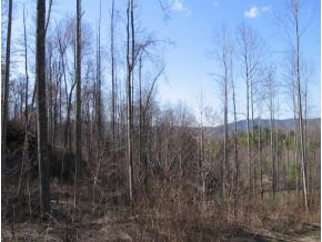 0 Fiddlers Branch Road Hampton, TN 37658 - Photo 2 of 2 Photo 2
