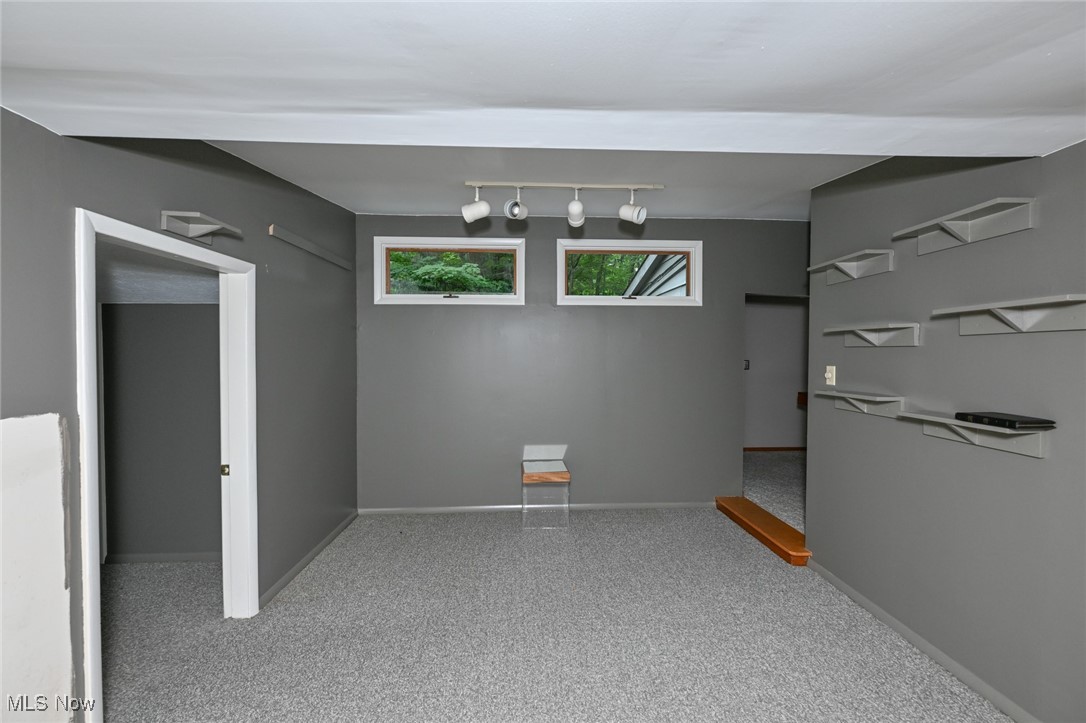 7061 Cascade Road Painesville, OH 44077 - Photo 17 of 49 Basement featuring rail lighting and carpet floors
