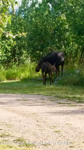 $775,000 | 132 Rainbow Drive, Thayne, WY 83127