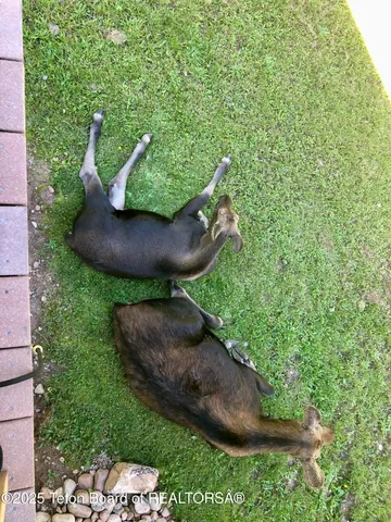 $775,000 | 132 Rainbow Drive, Thayne, WY 83127