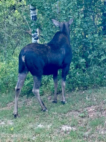 $775,000 | 132 Rainbow Drive, Thayne, WY 83127