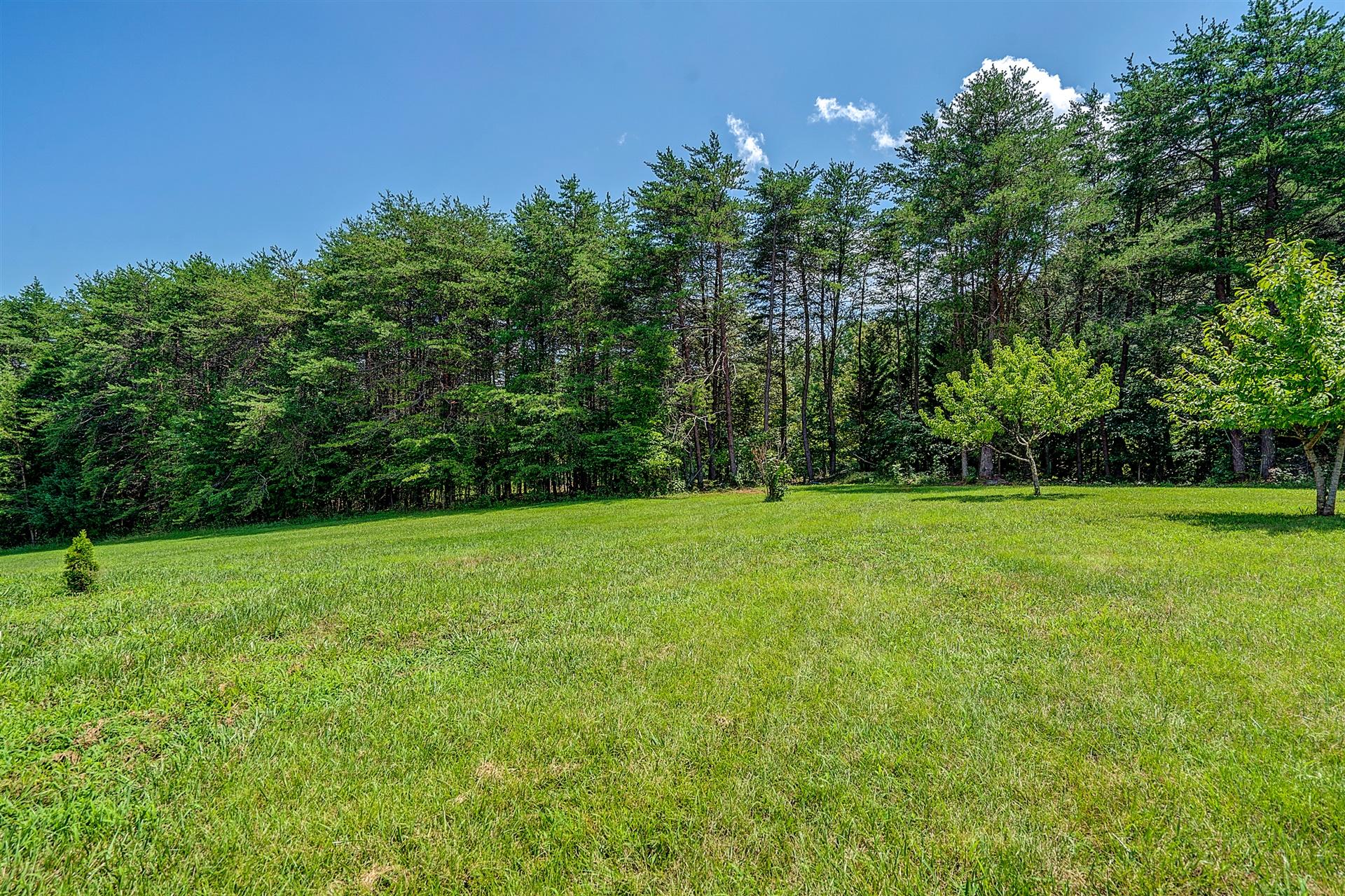 340 Mallard Point Road Wirtz, VA 24184 - Photo 31 of 41 a view of a field of grass and trees