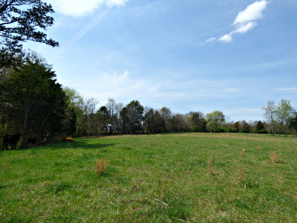 3351440 Valley Home Road Dandridge, TN 37725 - Photo 8 of 21 Gallery Image 8