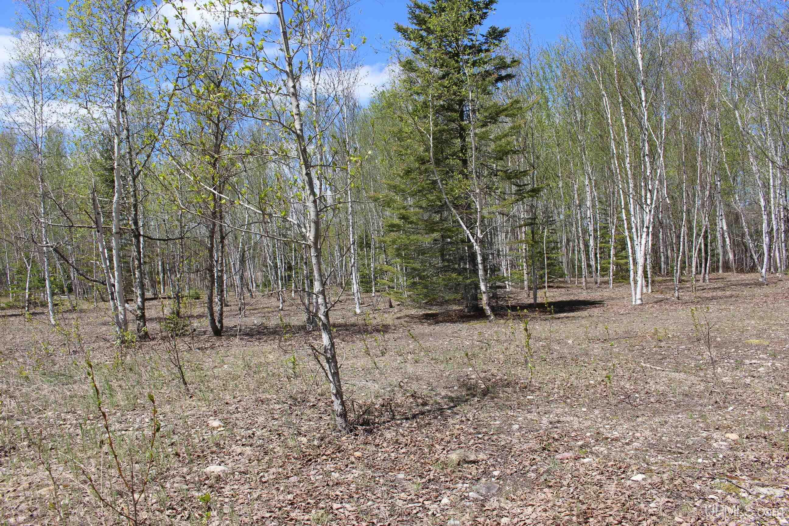 23.5 Rd Gladstone Mi 49837 Road Gladstone, MI 49837 - Photo 48 of 50