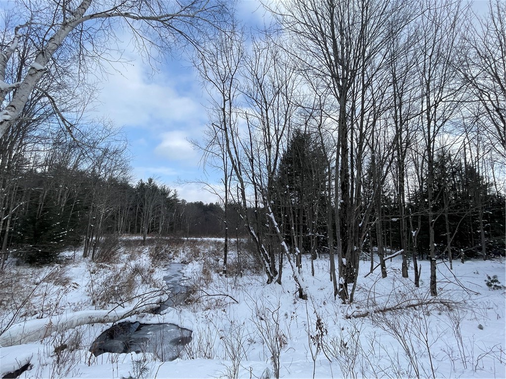 10 State Route Jefferson, NY 12093 - Photo 11 of 15