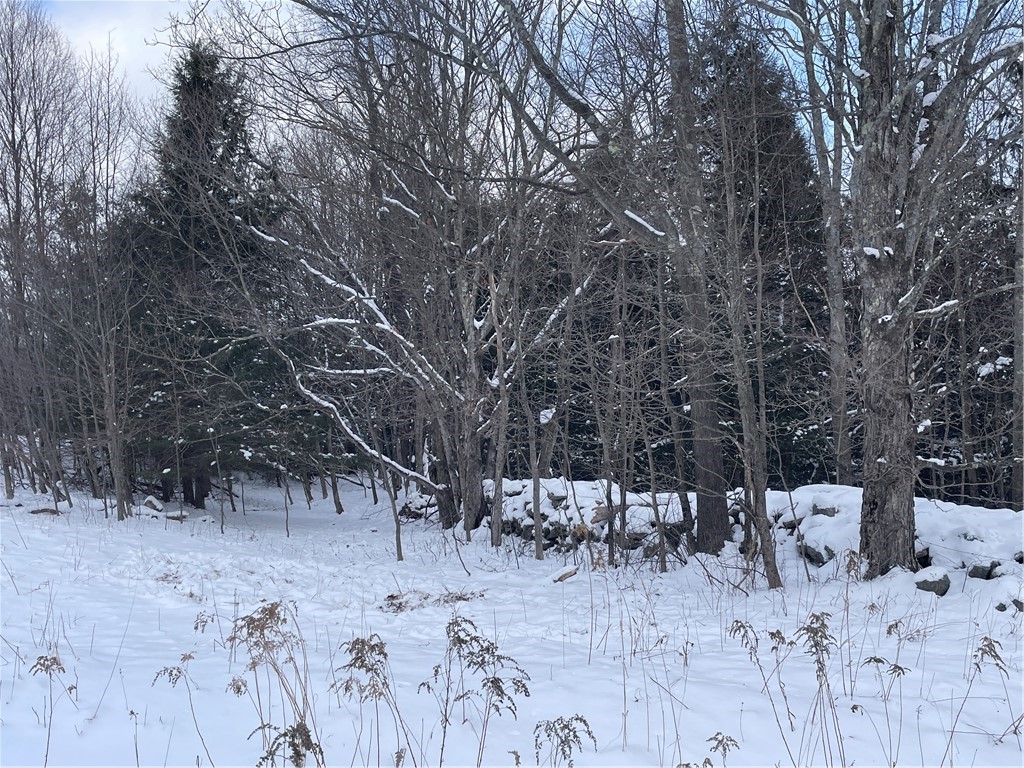 10 State Route Jefferson, NY 12093 - Photo 12 of 15