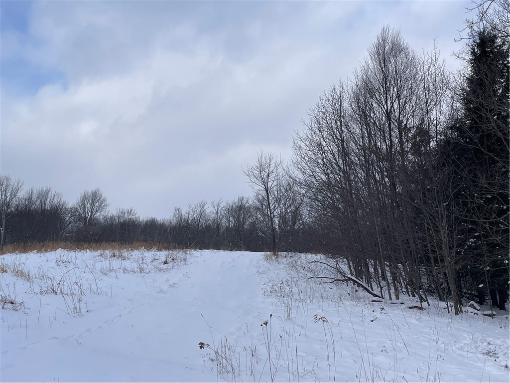 10 State Route Jefferson, NY 12093 - Photo 13 of 15