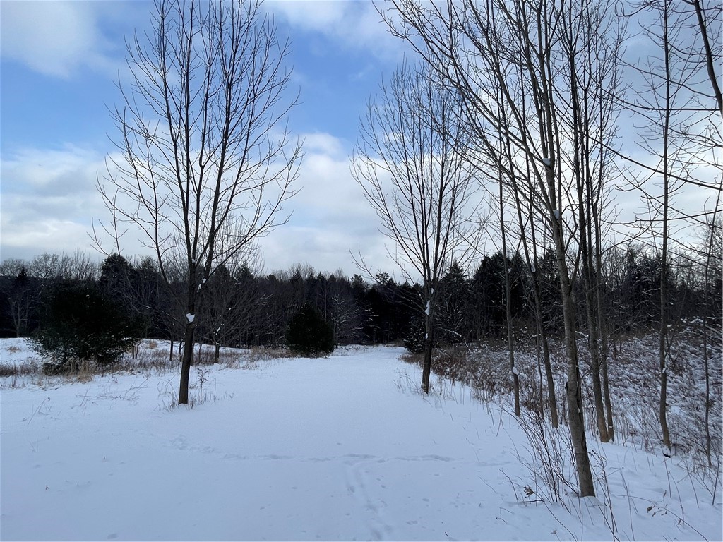 10 State Route Jefferson, NY 12093 - Photo 2 of 15