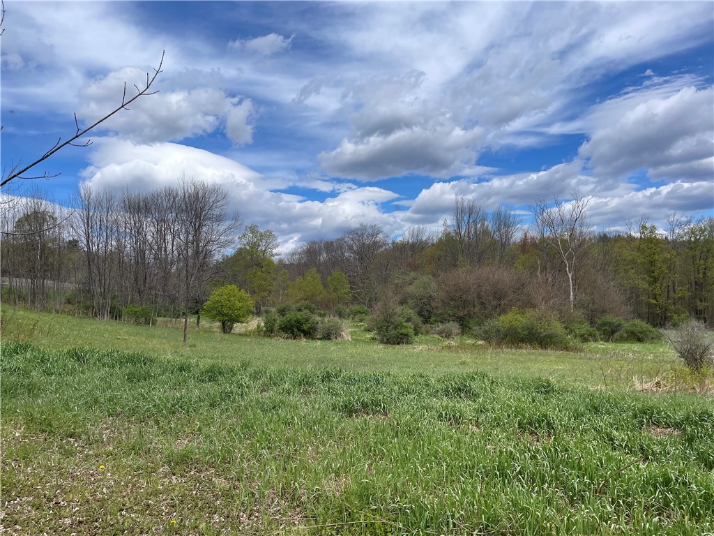 10 State Route Jefferson, NY 12093 - Photo 3 of 22