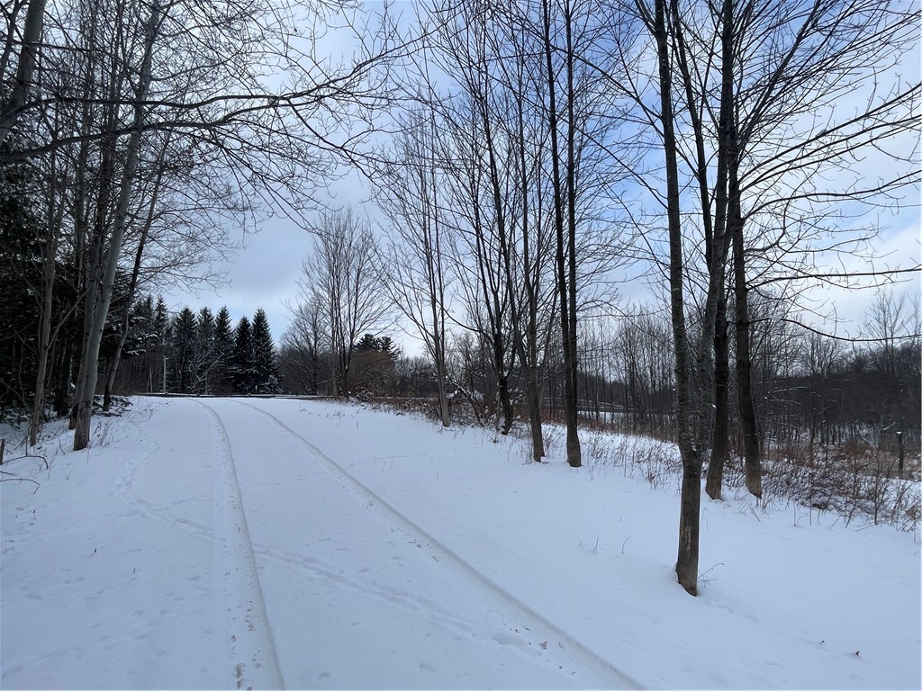 10 State Route Jefferson, NY 12093 - Photo 3 of 15