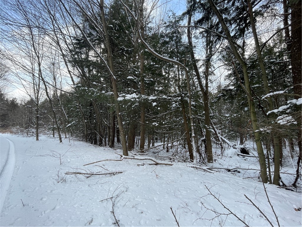 10 State Route Jefferson, NY 12093 - Photo 4 of 15