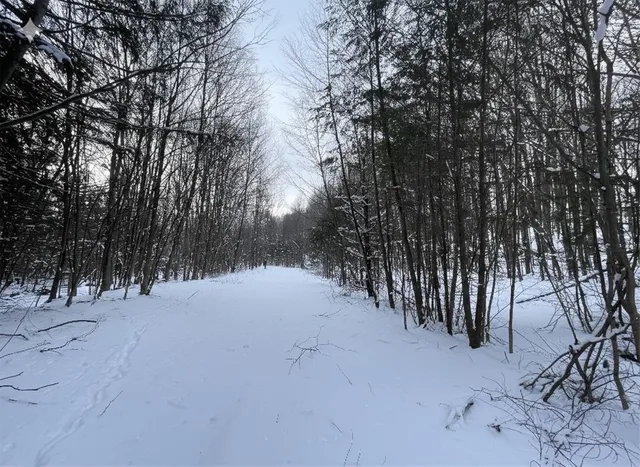 $350,000 | 10 State Route, Jefferson, NY 12093