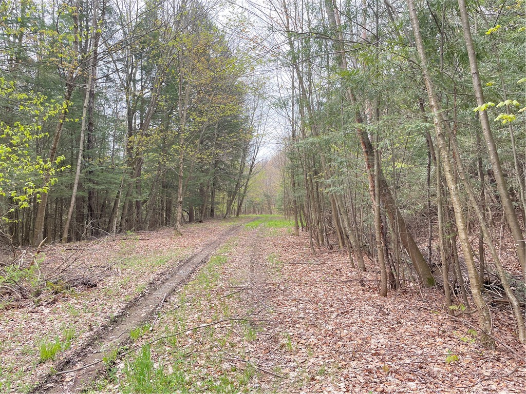 10 State Route Jefferson, NY 12093 - Photo 6 of 22