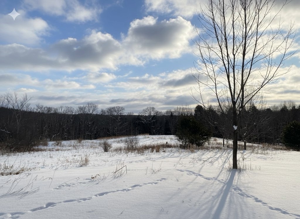 10 State Route Jefferson, NY 12093 - Photo 6 of 15