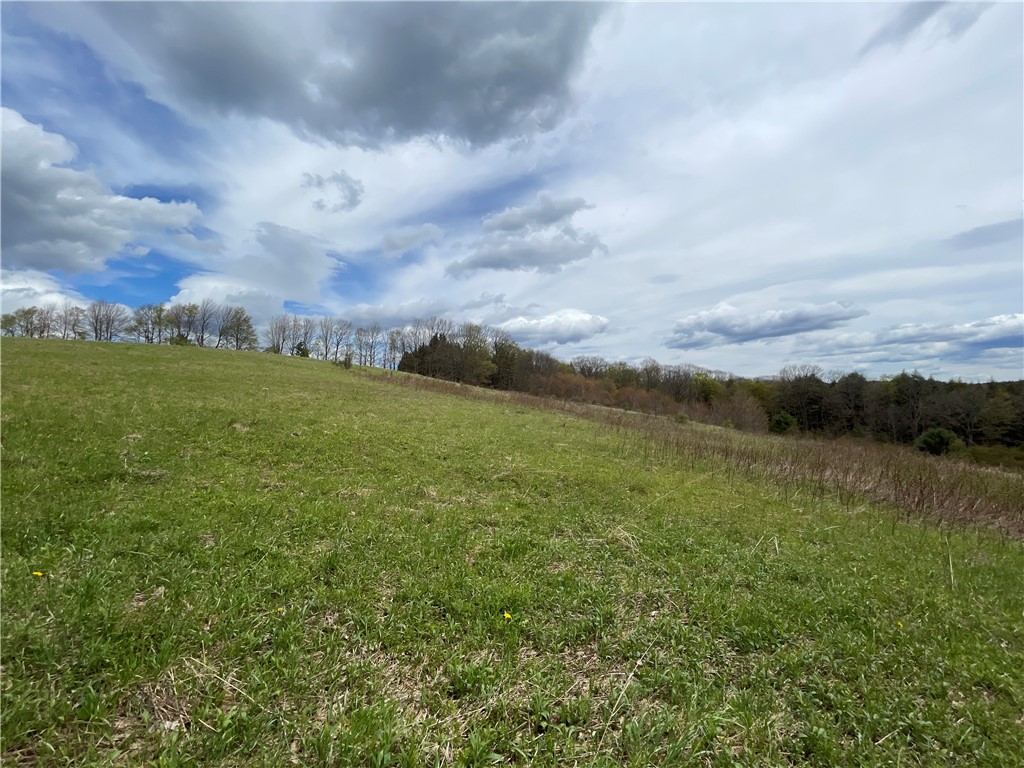 10 State Route Jefferson, NY 12093 - Photo 8 of 22