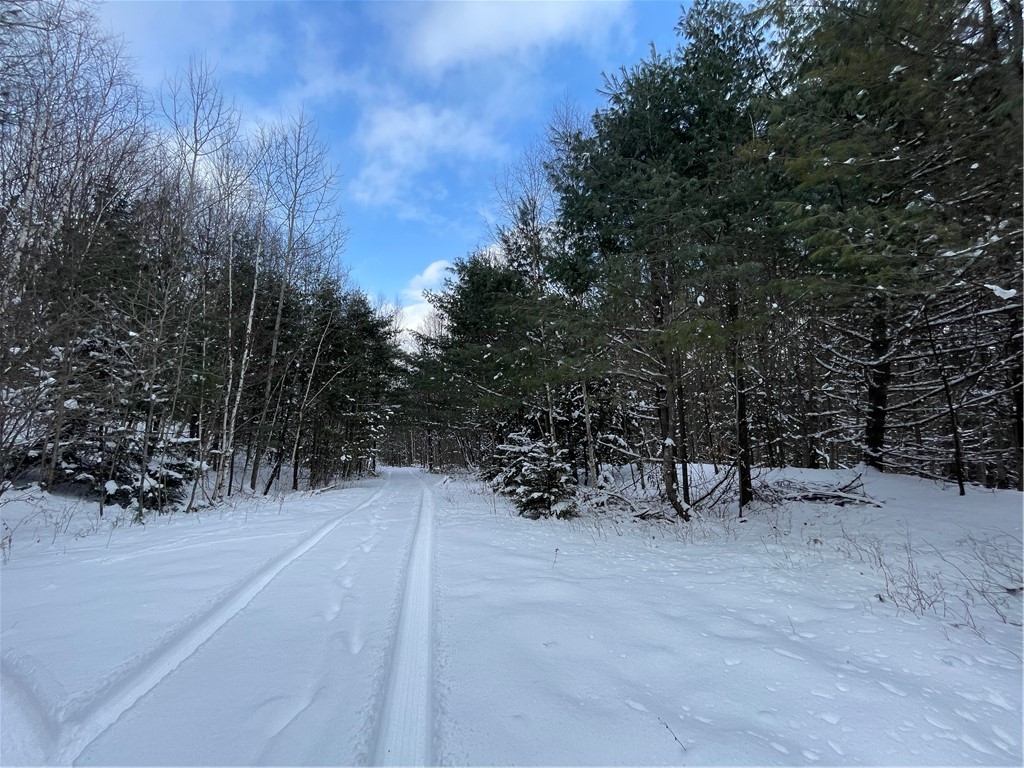 10 State Route Jefferson, NY 12093 - Photo 9 of 15