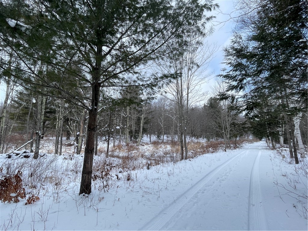 10 State Route Jefferson, NY 12093 - Photo 10 of 15