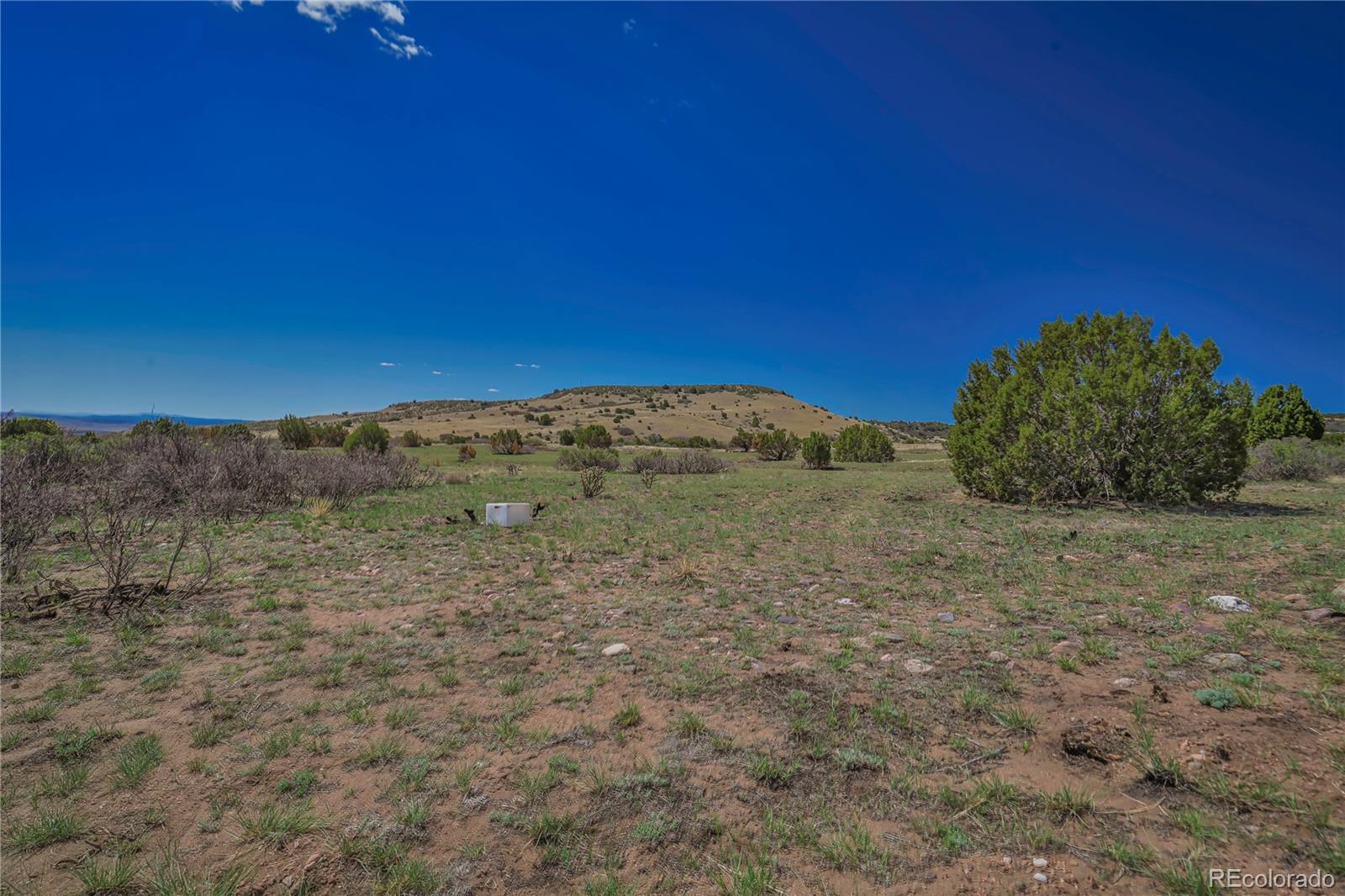 Cl&l Rye, CO 81069 - Photo 14 of 44 a view of a field with an trees in the background