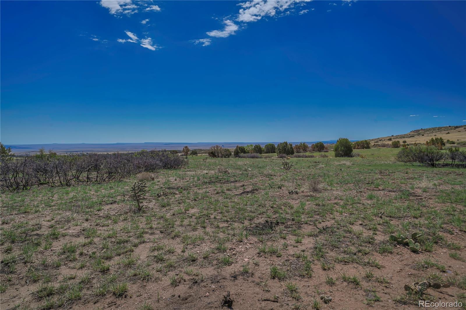 Cl&l Rye, CO 81069 - Photo 16 of 44 a view of a field with an outdoor space