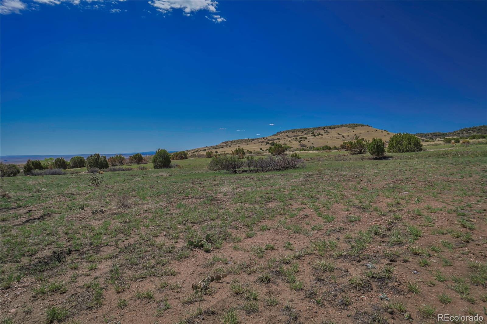 Cl&l Rye, CO 81069 - Photo 17 of 44