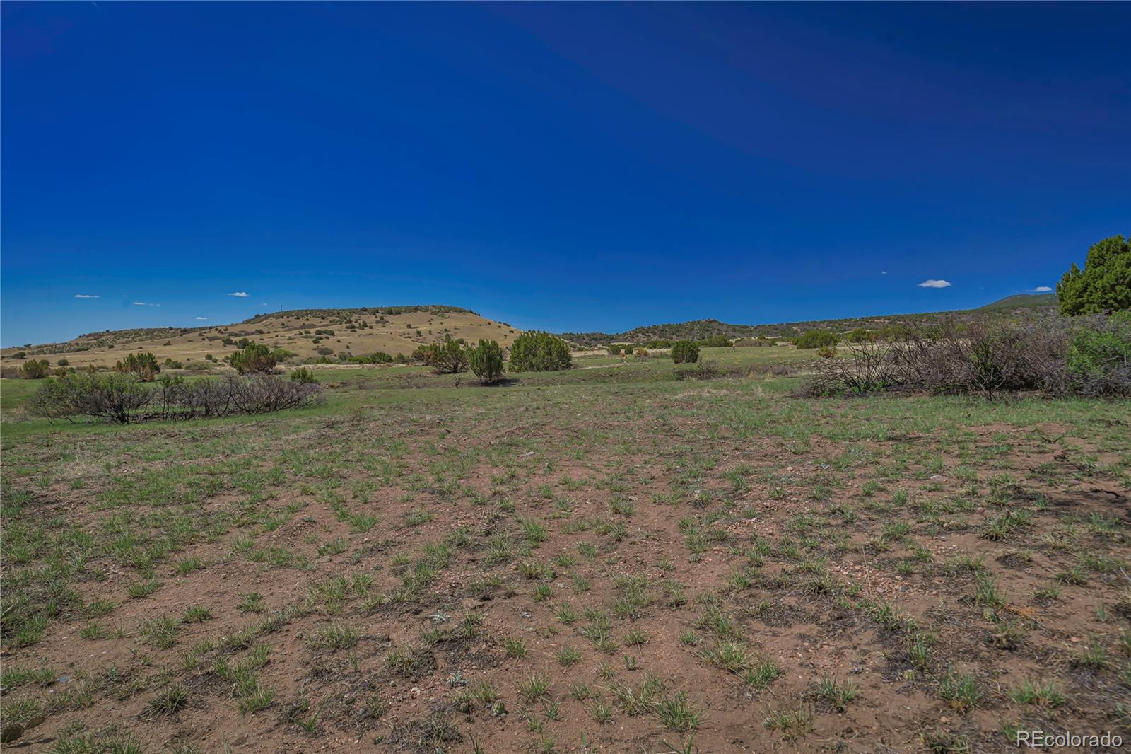 Cl&l Rye, CO 81069 - Photo 18 of 44 a view of a field with an ocean