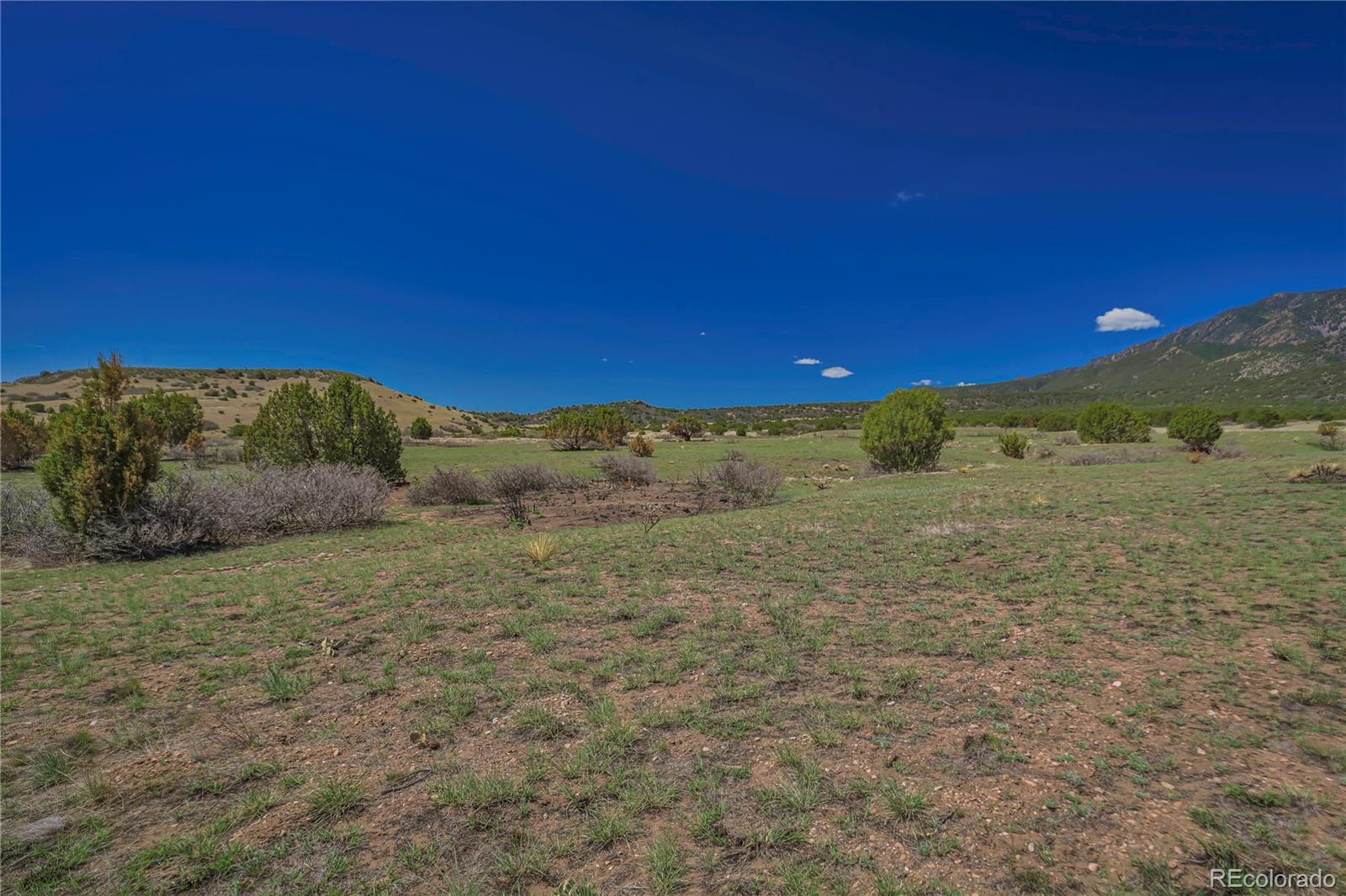Cl&l Rye, CO 81069 - Photo 24 of 44 a view of a yard with an ocean