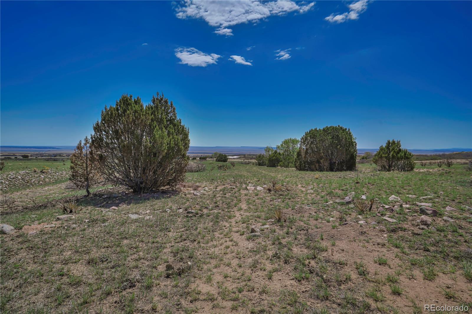 Cl&l Rye, CO 81069 - Photo 28 of 44 a view of a dry yard with wooden fence