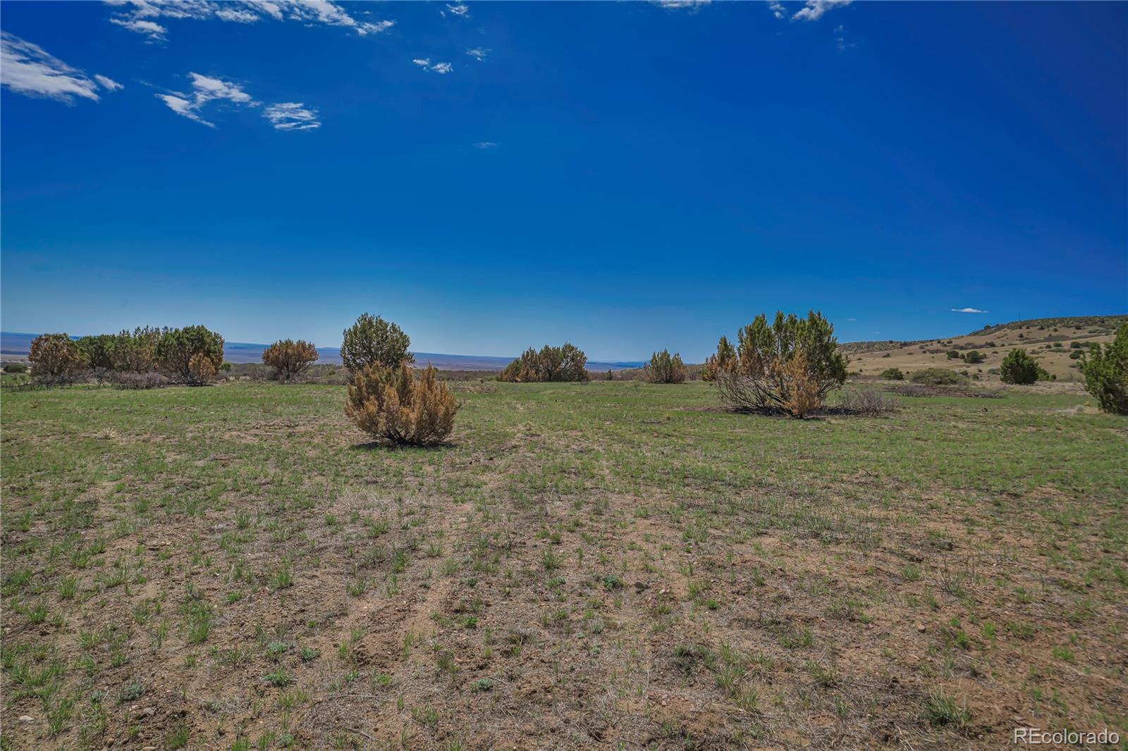 Cl&l Rye, CO 81069 - Photo 29 of 44 a view of a field with an ocean