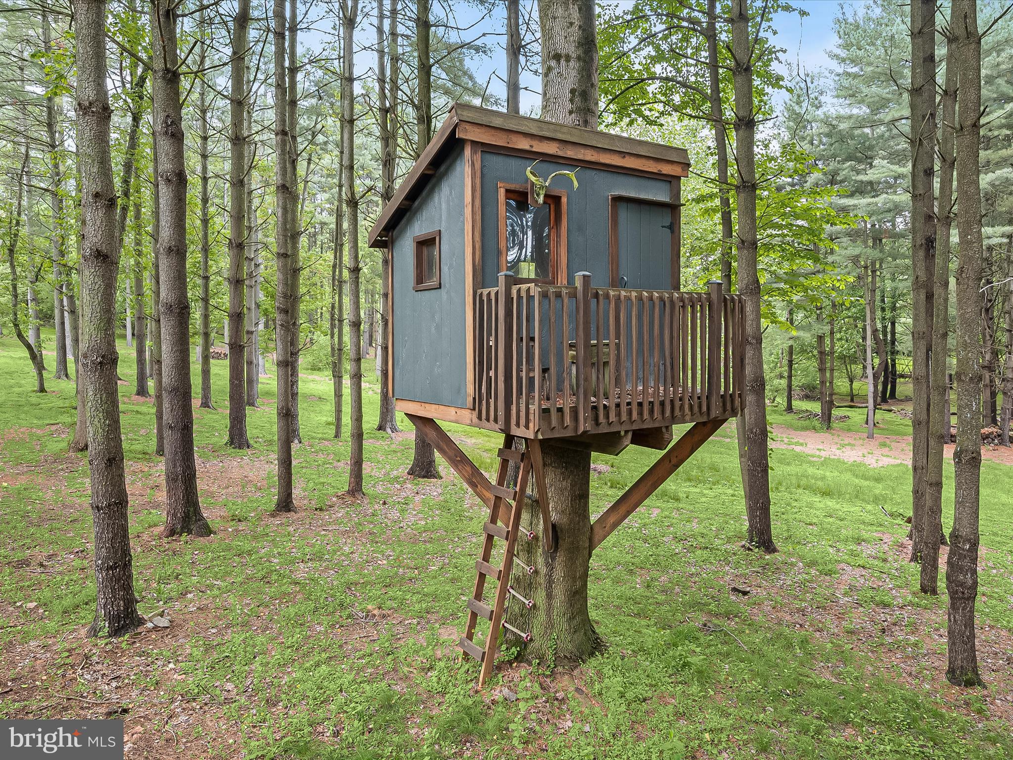 11944 Simpson Road Clarksville, MD 21029 - Photo 79 of 105 Treehouse