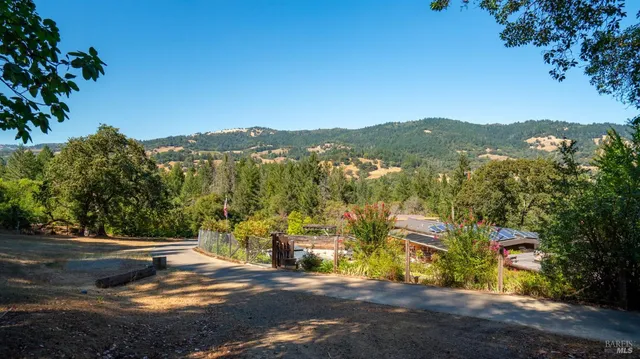 a tree in the middle of a yard