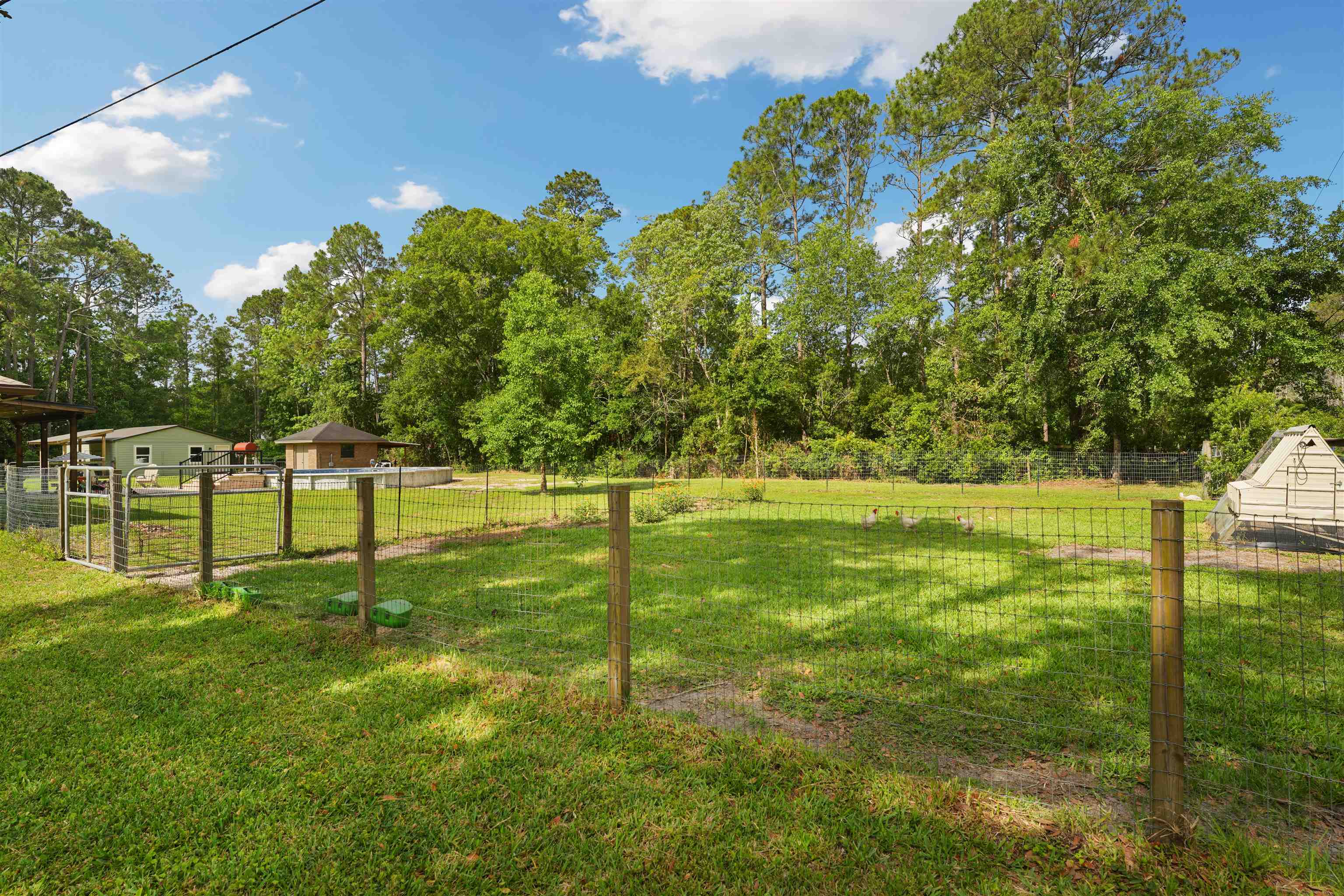 1805 Bennett Road St. Augustine, FL 32092 - Photo 50 of 65 a view of a park with a tree