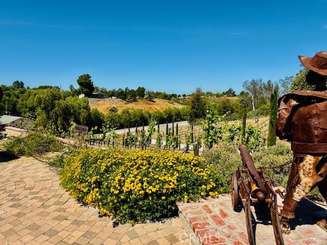 40995 Vía Fernando Temecula, CA 92592 - Photo 50 of 52 a view of a garden