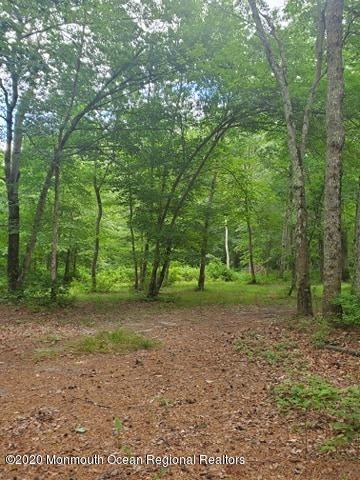370 Ely Harmony Road Freehold, NJ 07728 - Photo 11 of 59 109547723_720864101817625_27187294663307