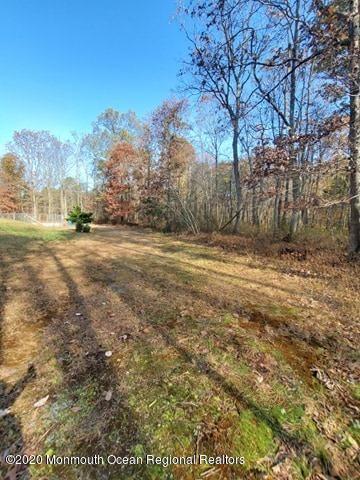 370 Ely Harmony Road Freehold, NJ 07728 - Photo 36 of 59 124154531_875556519852454_76061443366582