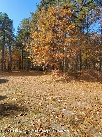 370 Ely Harmony Road Freehold, NJ 07728 - Photo 44 of 59 124165955_3284662884993369_3748556714289