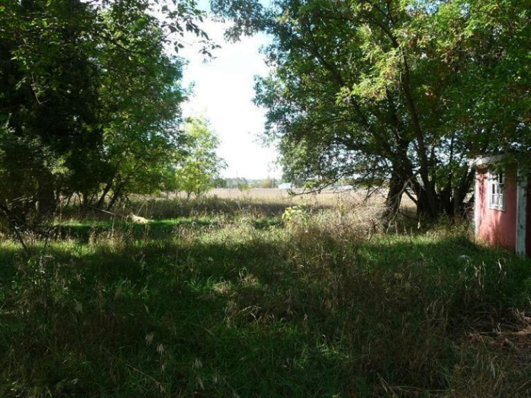 10200 5 Mile Road Lakeview, MI 48850 - Photo 3 of 9 Additional Photo