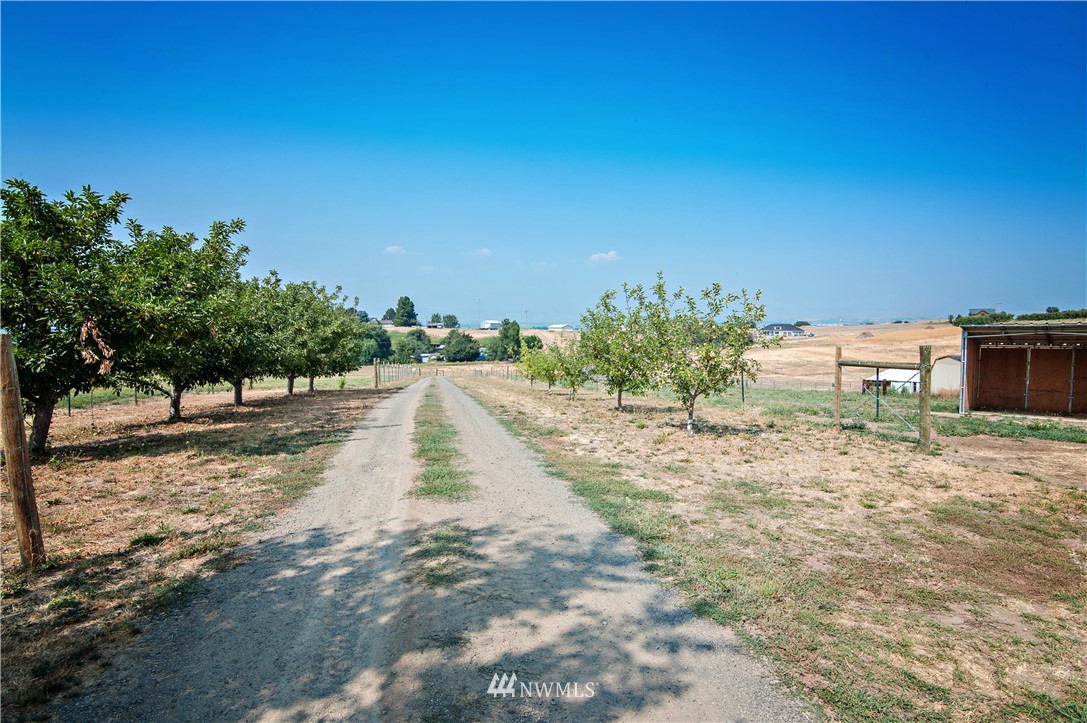 101 Perry Road Ellensburg, WA 98926 - Photo 20 of 25 Gallery Image 20