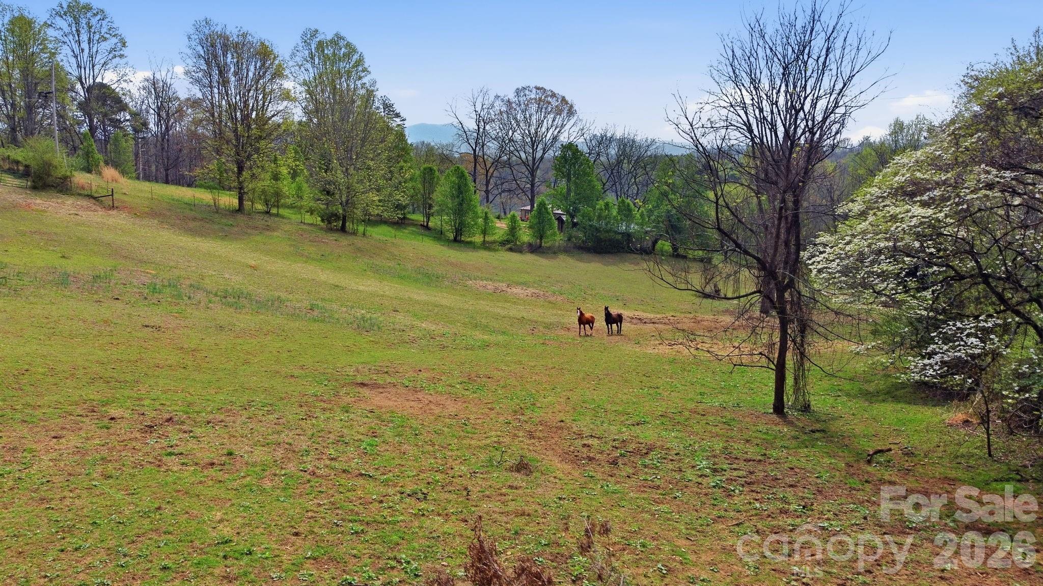 337 Town Mountain Road Hayesville, NC 28904 - Photo 3 of 42