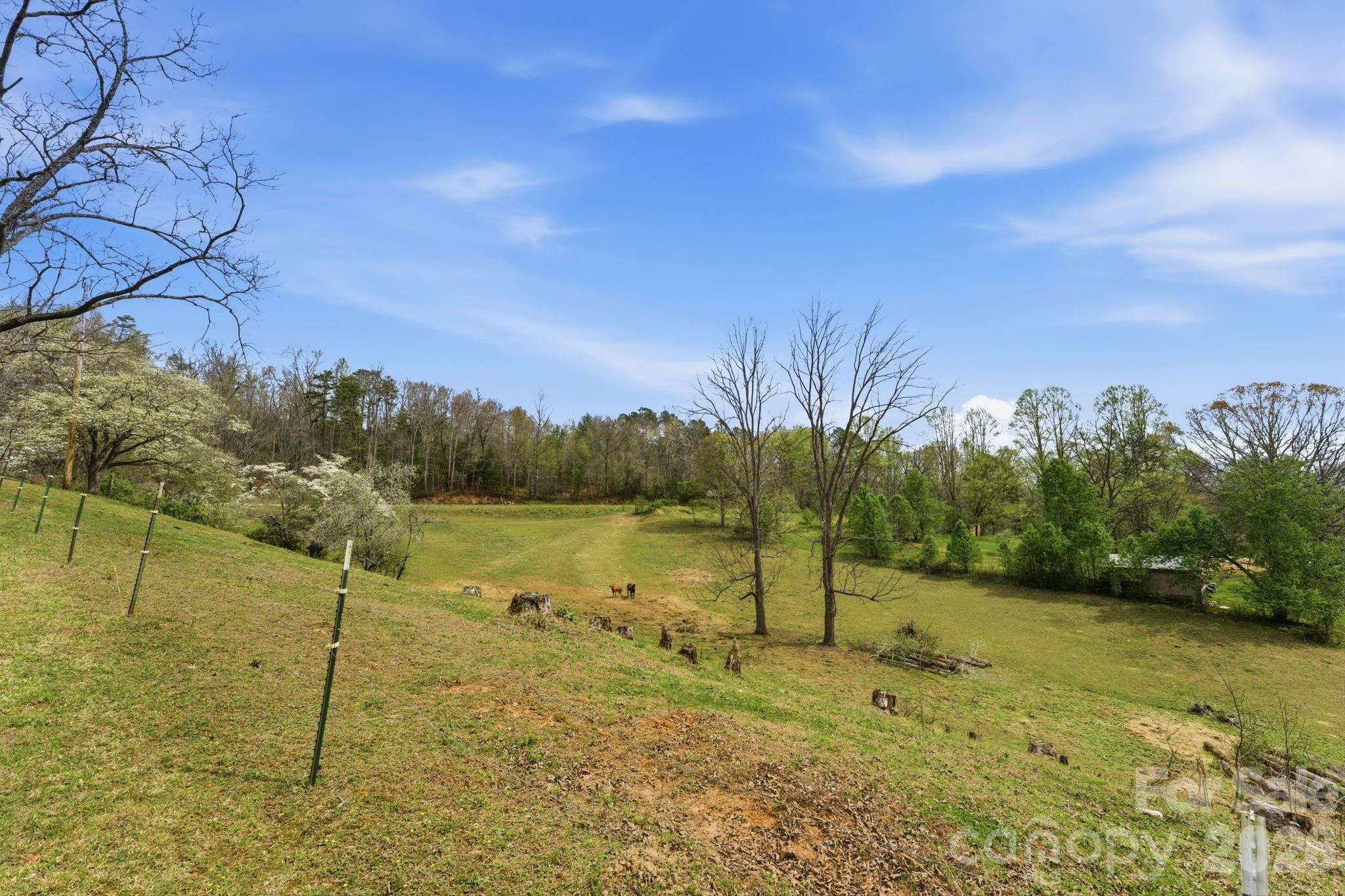 337 Town Mountain Road Hayesville, NC 28904 - Photo 4 of 42