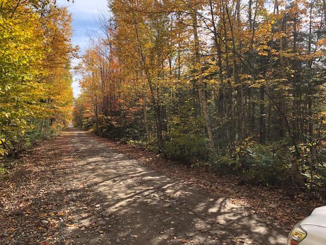 0 Chadwick Pt Road Danforth, ME 04424 - Photo 4 of 7 slamdanforth6