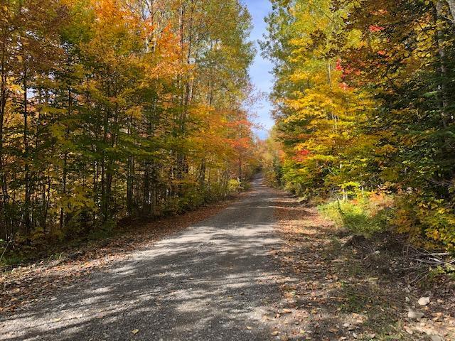 0 Chadwick Pt Road Danforth, ME 04424 - Photo 6 of 7 slamdanforth4