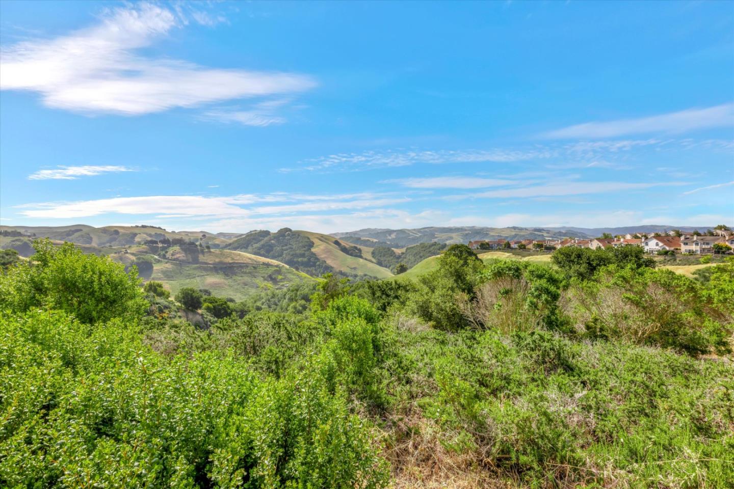 7863 Summerpointe Place Castro Valley, CA 94552 - Photo 43 of 43 a view of a lush green space with sea
