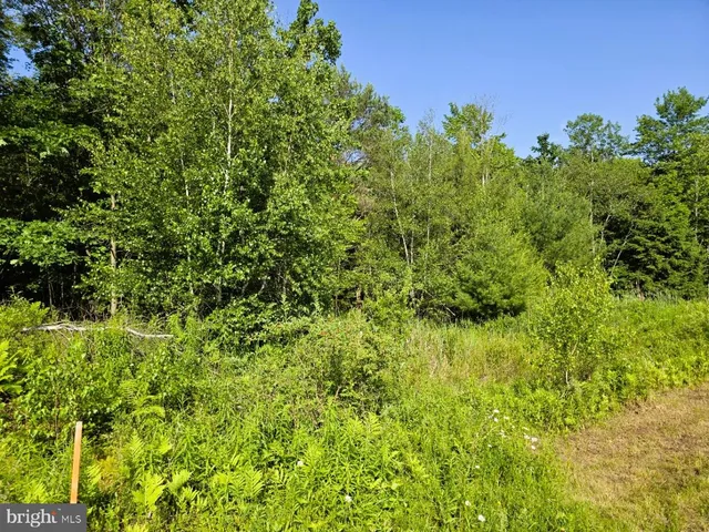 $25,000 | 0 Main Street, Winburne, PA 16879