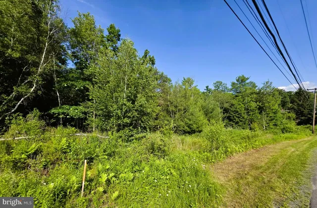 $25,000 | 0 Main Street, Winburne, PA 16879