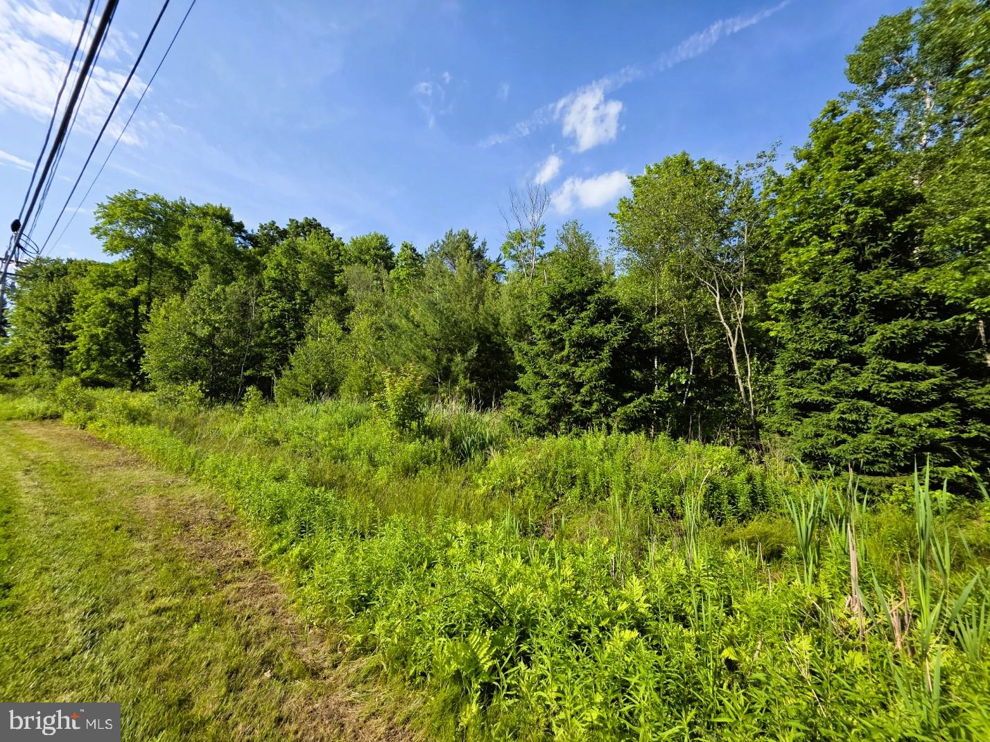 0 Main Street Winburne, PA 16879 - Photo 3 of 3 0 Main St Winburne additional view