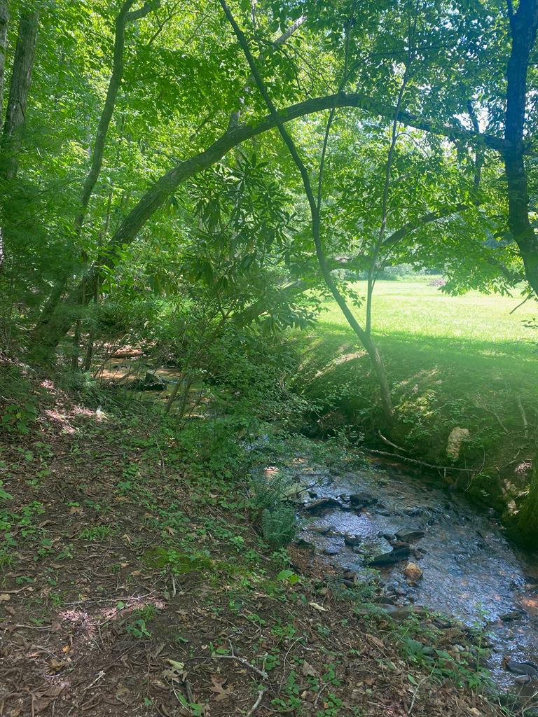 Lot20 Bryant Cove Road Blairsville, GA 30512 - Photo 11 of 12 a view of a yard with a tree