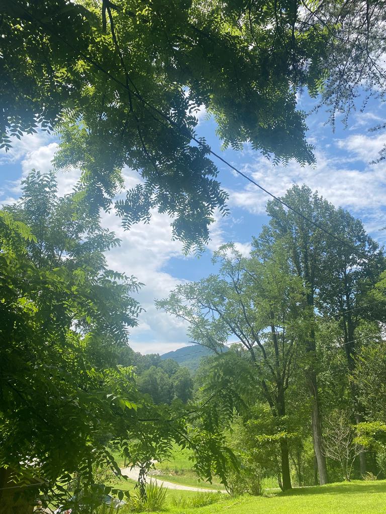 Lot20 Bryant Cove Road Blairsville, GA 30512 - Photo 10 of 12 a view of a yard