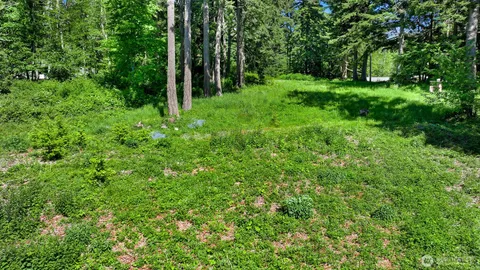 $299,900 | 2093 Granger Way, Lummi Island, WA 98262