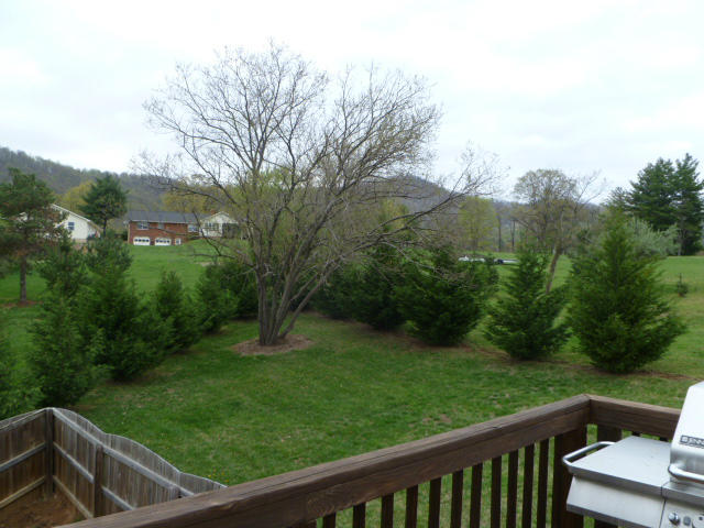 644 Castleridge Road Vinton, VA 24179 - Photo 18 of 21 back yard